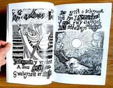 Load image into Gallery viewer, A signed copy of Kat Godeu Llyfr Taliesin VIII