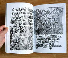 Load image into Gallery viewer, A signed copy of Kat Godeu Llyfr Taliesin VIII