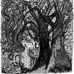 A signed copy of Kat Godeu Llyfr Taliesin VIII