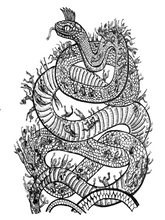 Load image into Gallery viewer, A Signed copy of KAT GODEU (The Battle of the Trees) Book (2021)
